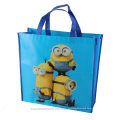 Custom Non Woven Bag for Shopping and Promotion